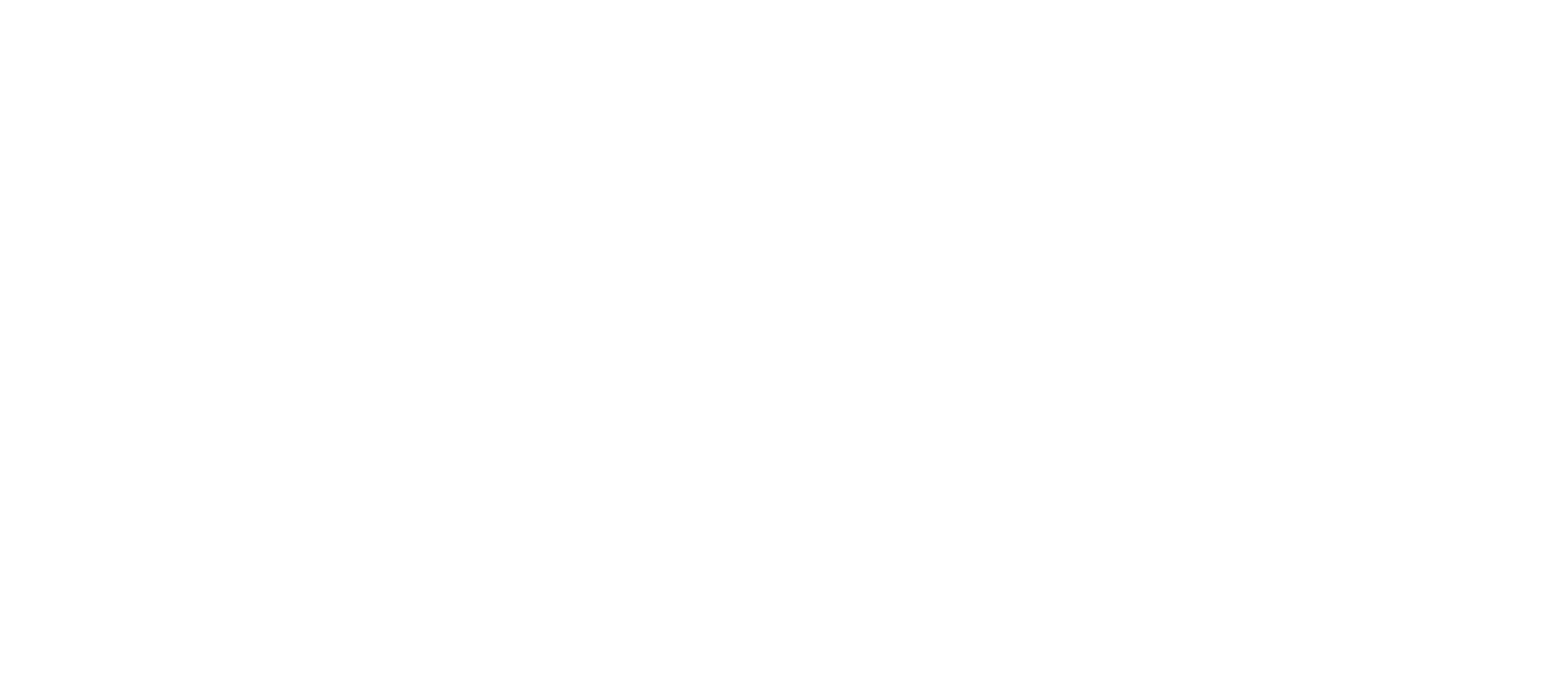 VAZ-Logo_Spray-Effekt-weiss.png